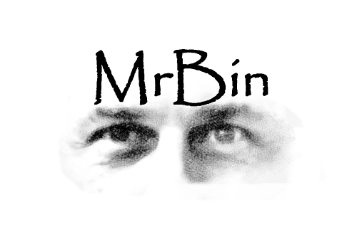 logo MrBin