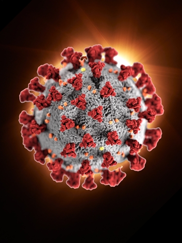 model koronaviru se sluneční korónou