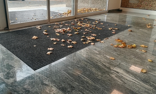 podlaha pokrytá opadaným listím